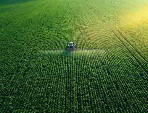 Investigación de mercado de agricultura sostenible