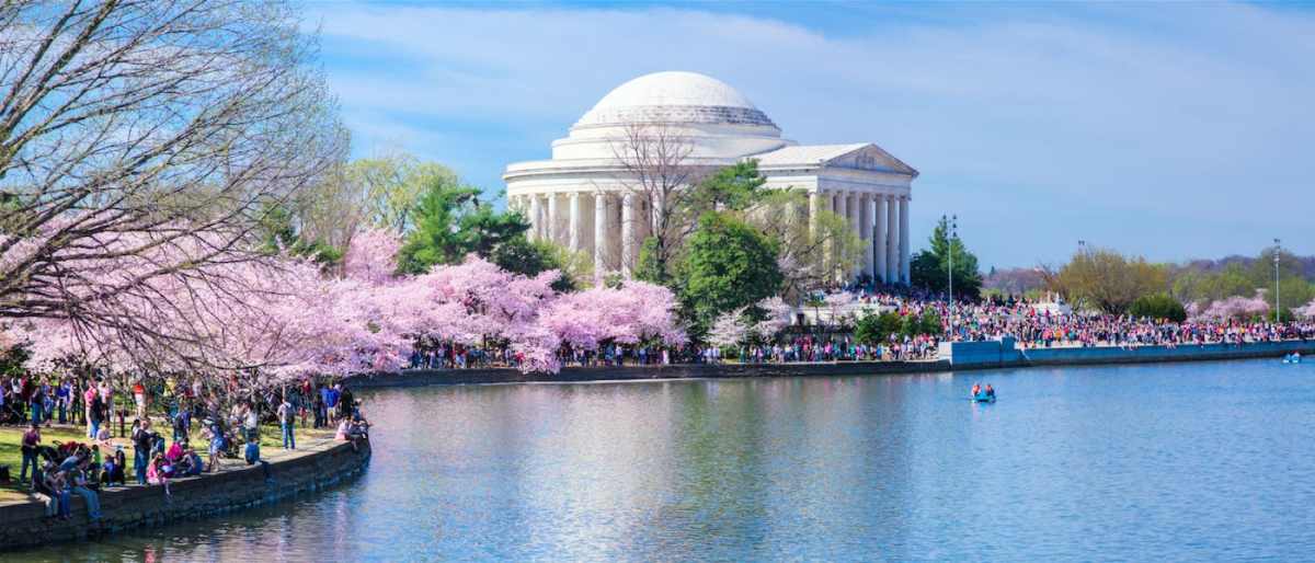 Market Research in Washington DC Market Research in Washington DC