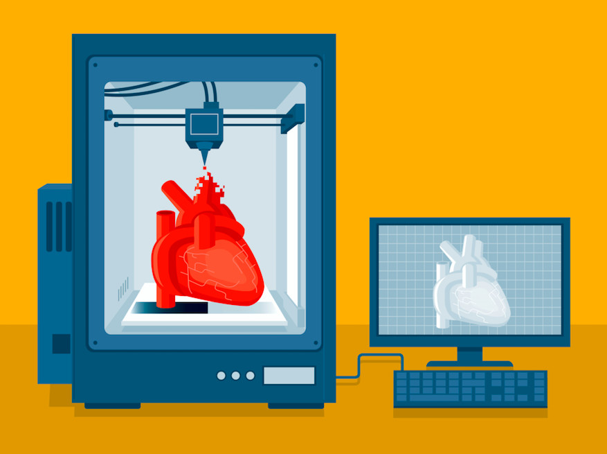 Organ Creation Market Research