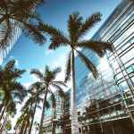 Market Research in Miami and Florida