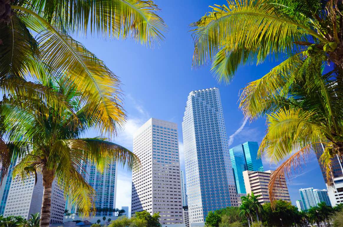 Market Research in Florida Market Research in Florida