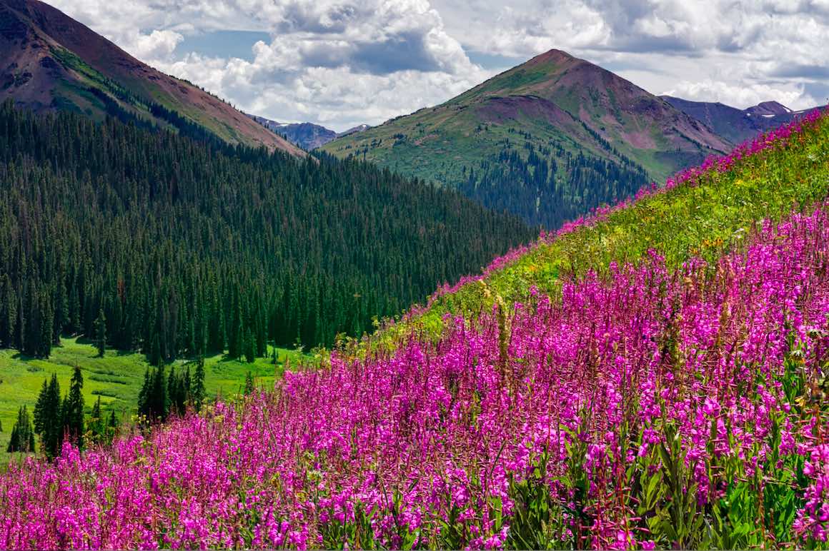 Market Research in Rocky Mountains Colorado Market Research in Rocky Mountains Colorado