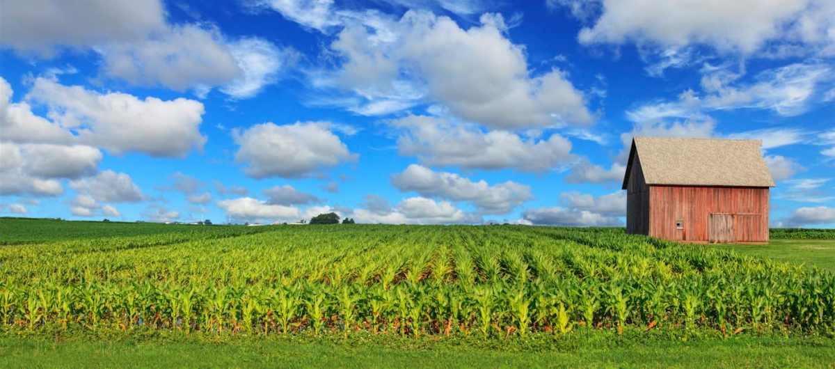 Agricultural Market Research in Illinois Agricultural Market Research in Illinois