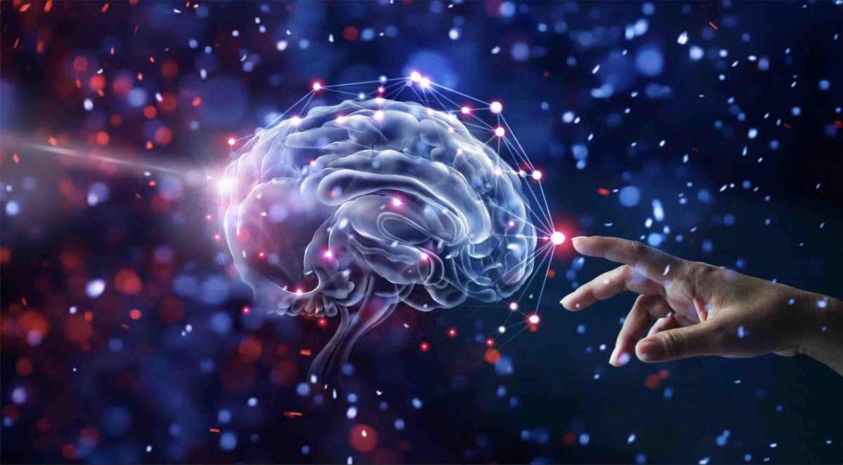 Buyer Behavior Behavioral Economics Buyer Behavior Behavioral Economics