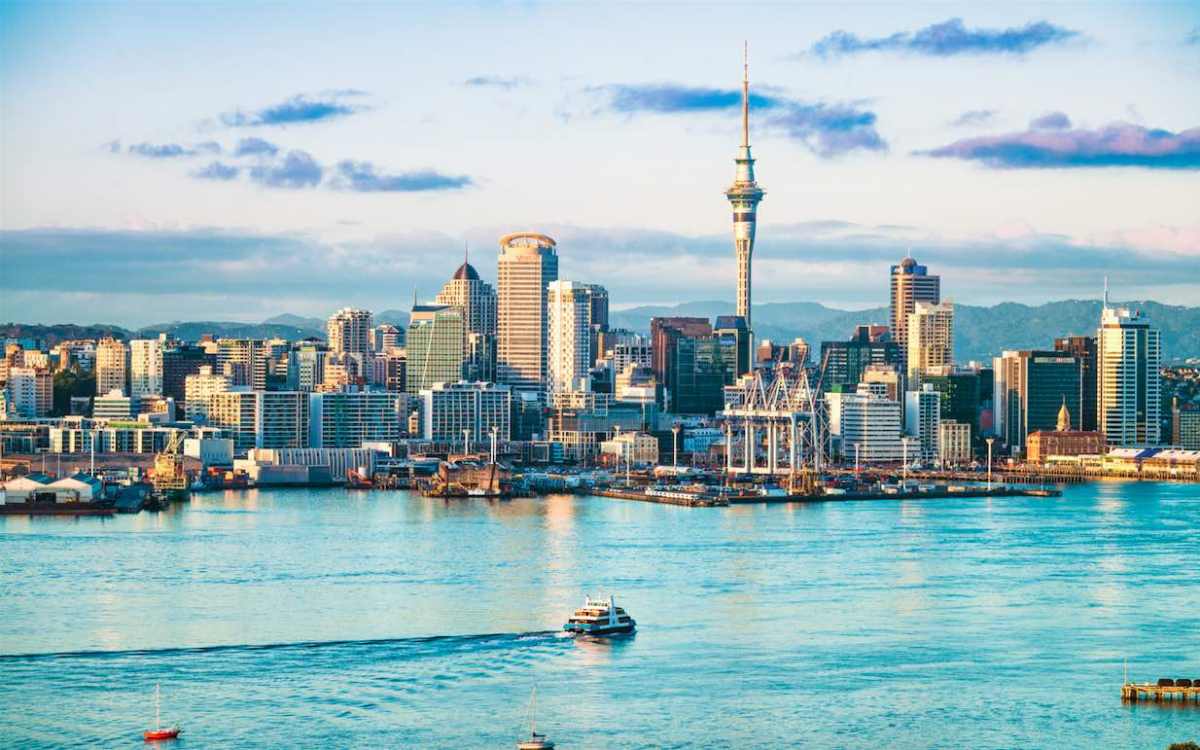 Market Research in Auckland Market Research in Auckland