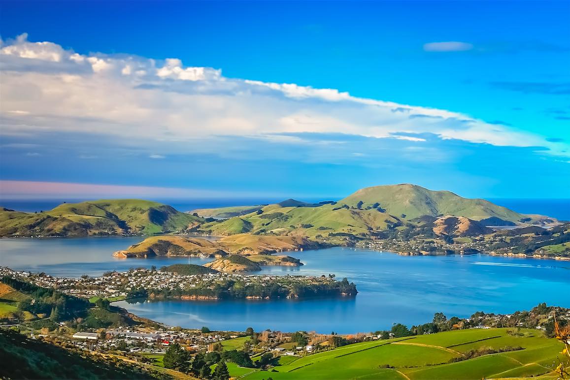 Market Research in Dunedin New Zealand Market Research in Dunedin New Zealand