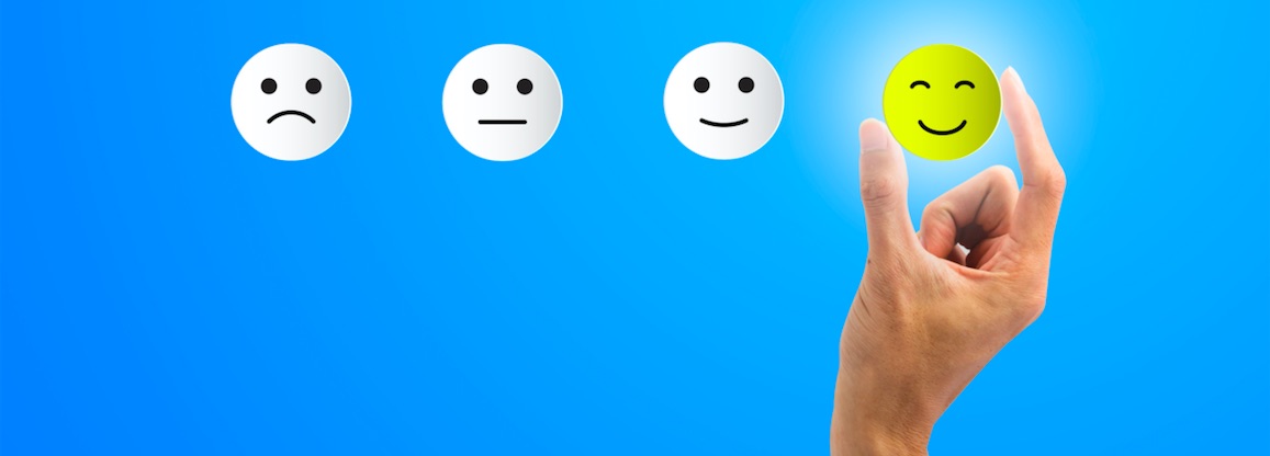 Net Promoter Score Survey Consulting Net Promoter Score Survey Consulting