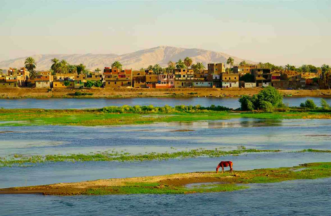 Agriculture Market Research in Egypt Agriculture Market Research in Egypt