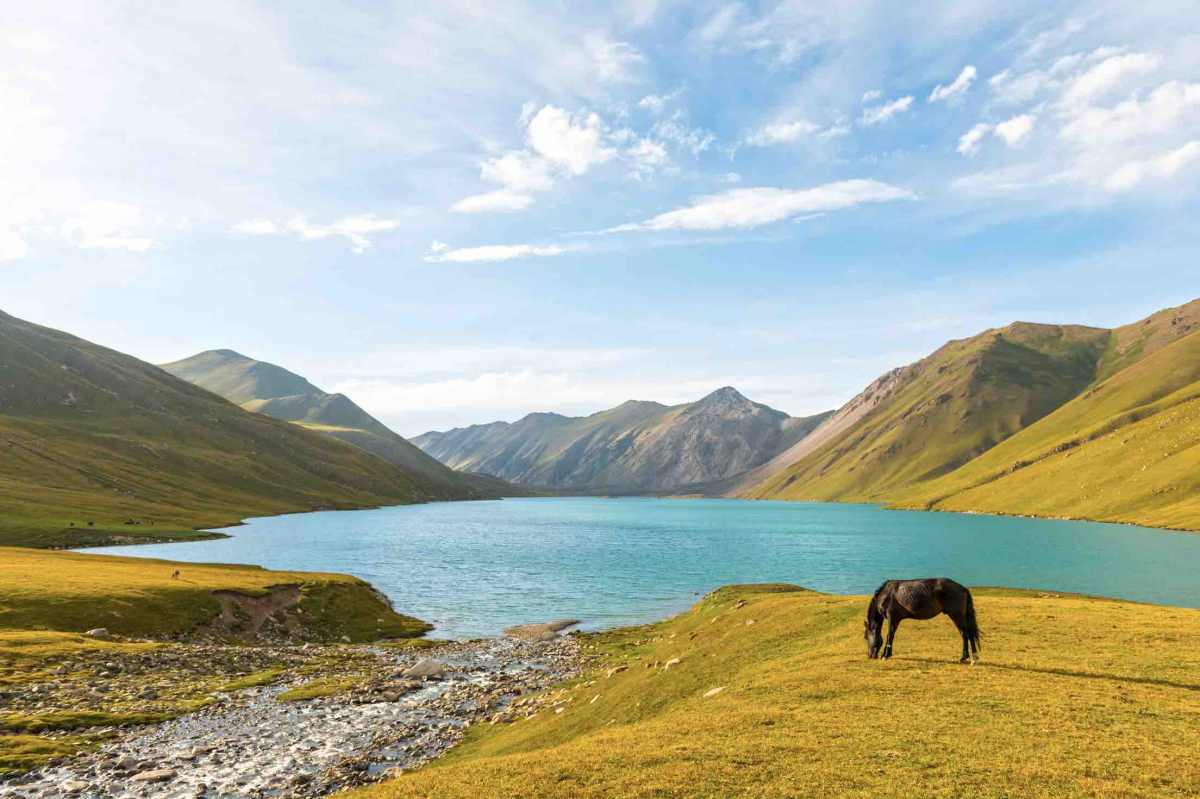 Market Research in Kyrgyzstan