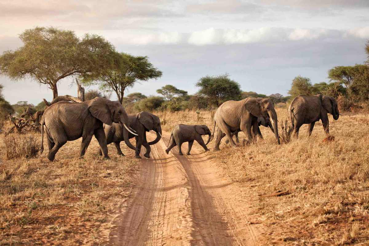 South Africa Tourism Market Research South Africa Tourism Market Research