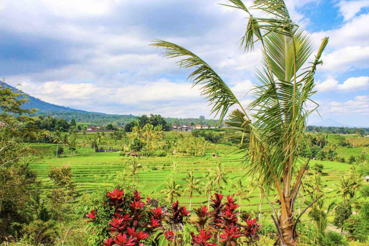 Strategy Market Research in Indonesia Strategy Market Research in Indonesia