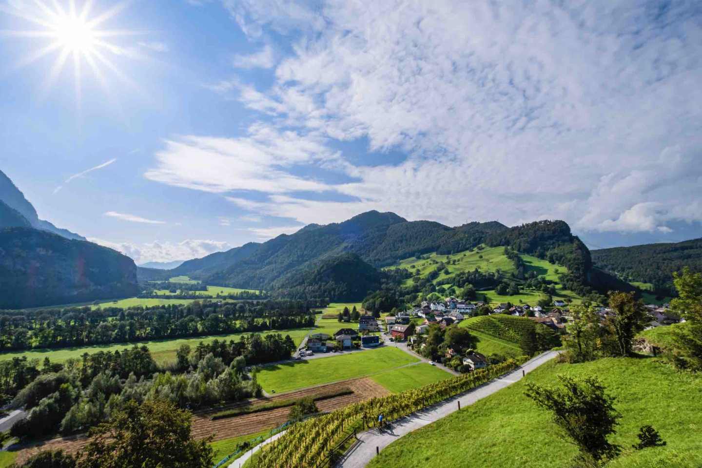 Market Research in Liechtenstein