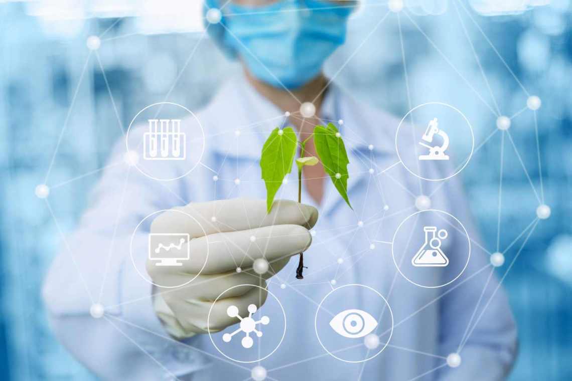 植物学市場調査