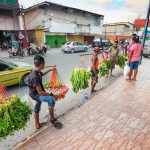 Market Research in Timor