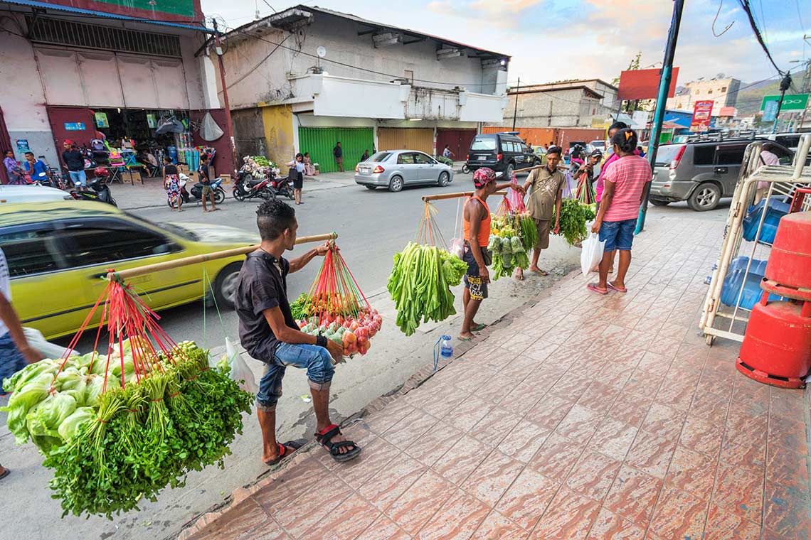 Market Research in Timor