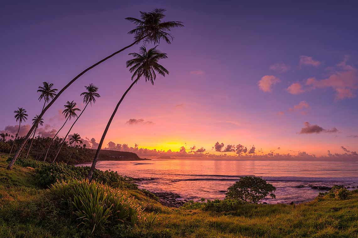 Market Research in Samoa