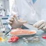 Food Safety Market Research