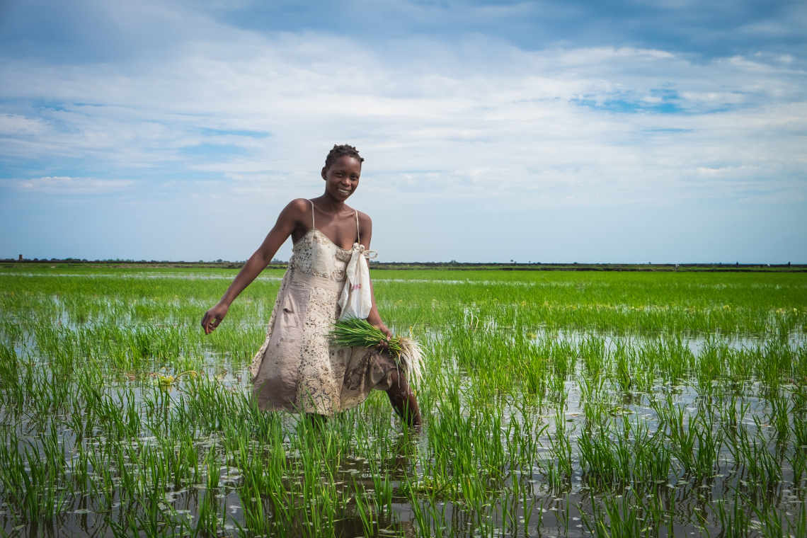 market-research-in-mozambique