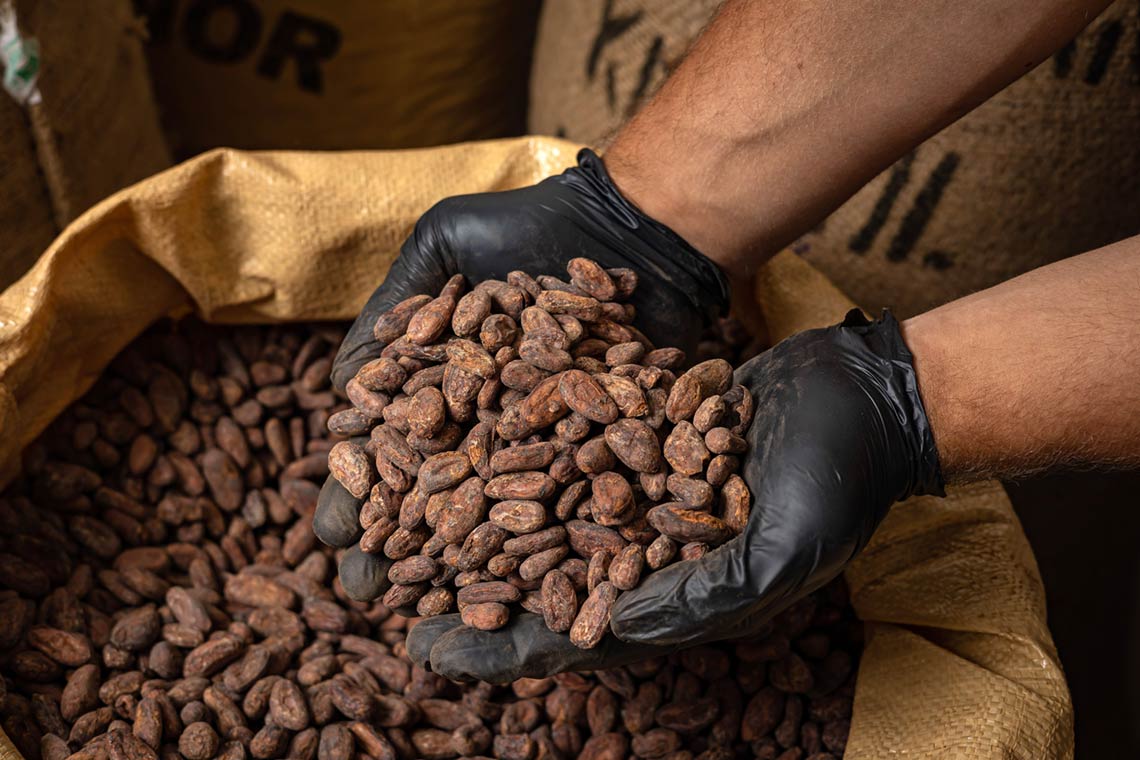 Cocoa Market Research