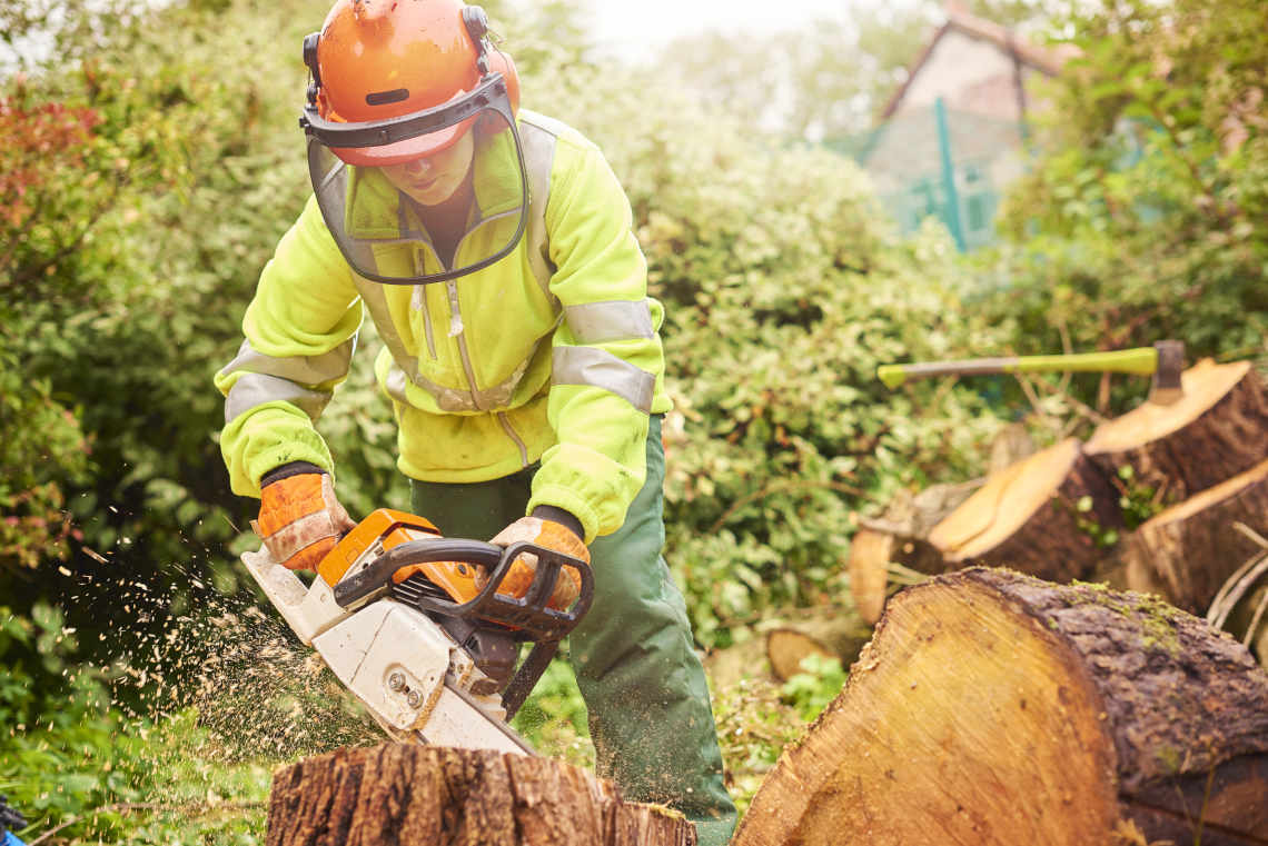 Forestry Market Research