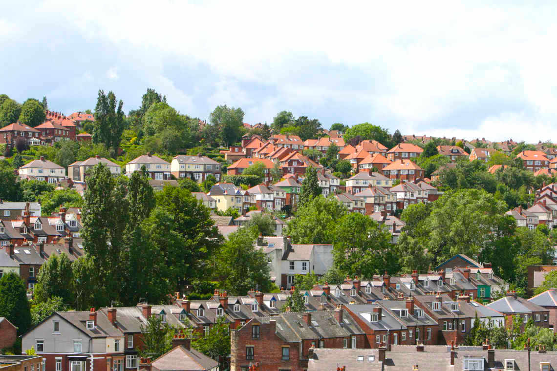 Market Research in Sheffield (UK)