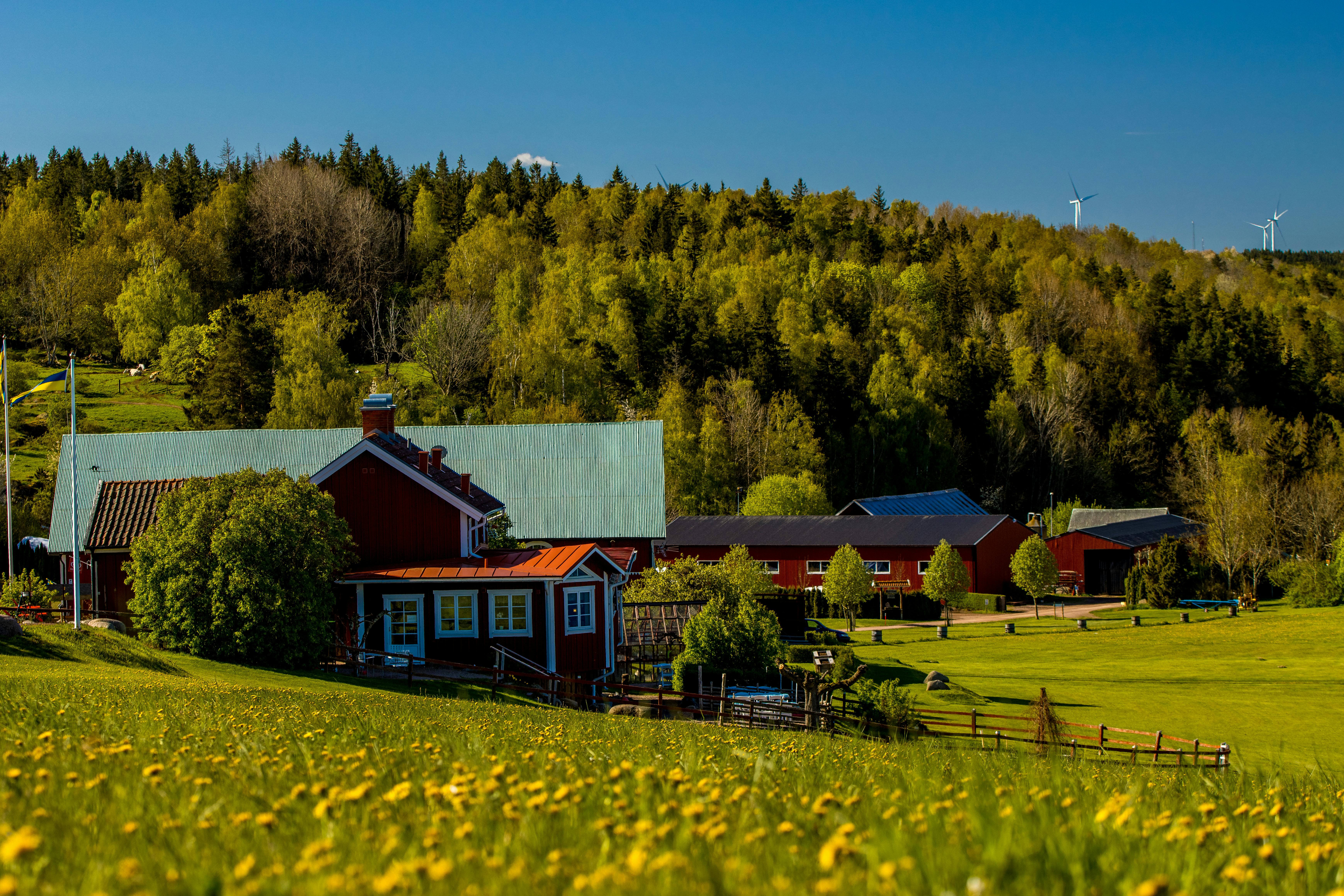 Nordic Market Research