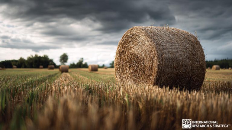 현장 서비스 시장 조사
