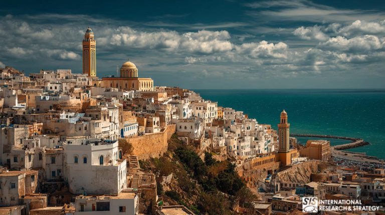 아프리카 알제리 시장조사