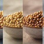 أبحاث سوق الحبوب