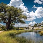 Investigación de mercado en Botswana