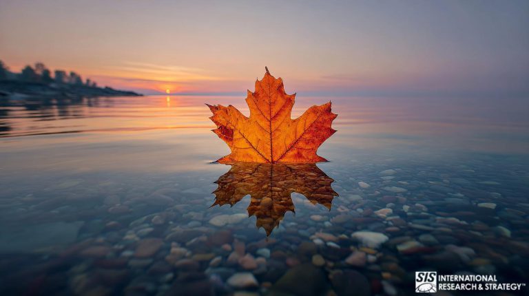 Investigación de mercado franco-canadiense