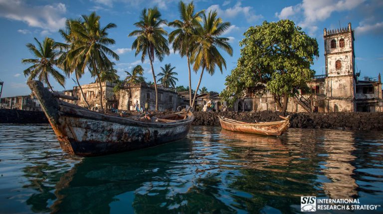 아프리카 코모로 시장 조사