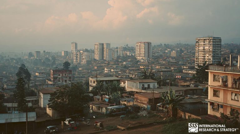콩고 시장 조사