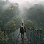 Ecotourism Market Research