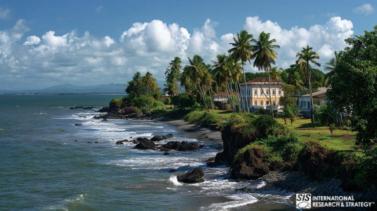 아프리카 적도기니 시장조사