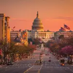 Federal Government Market Research