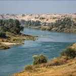 Market Research in Iraq