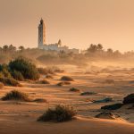 Investigación de mercado en Mauritania, África: descripción general