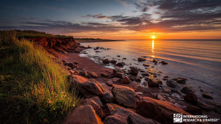 Investigación de mercado en Nuevo Brunswick, Canadá