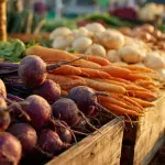 Vegetarian Market Research