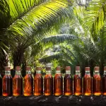 Palm Oil Market Research