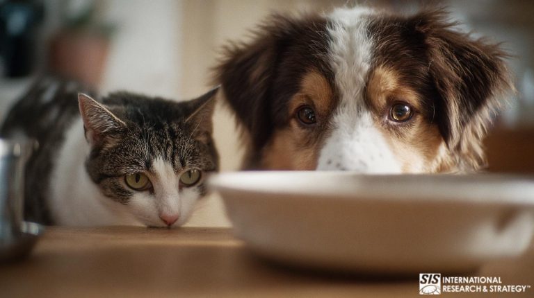 宠物食品市场研究