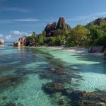 Ricerche di mercato alle Seychelles, Africa