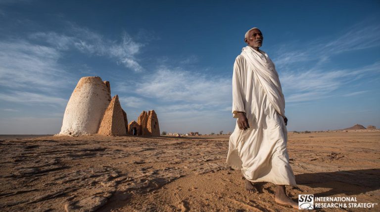 아프리카 수단 시장 조사
