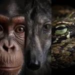 Zoology Market Research