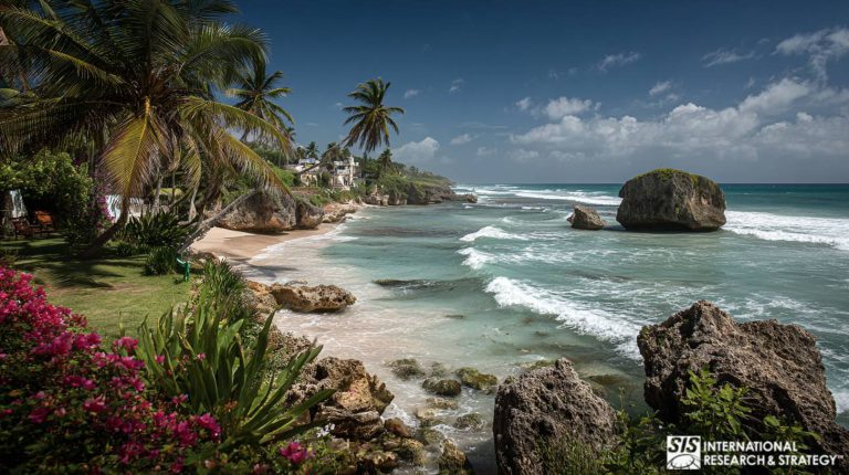 Market Research in Barbados