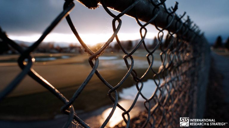 Services de publicité multiculturelle pour une entreprise leader mondial de solutions de gestion des animaux