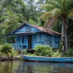Investigación de mercado en la Guayana Francesa
