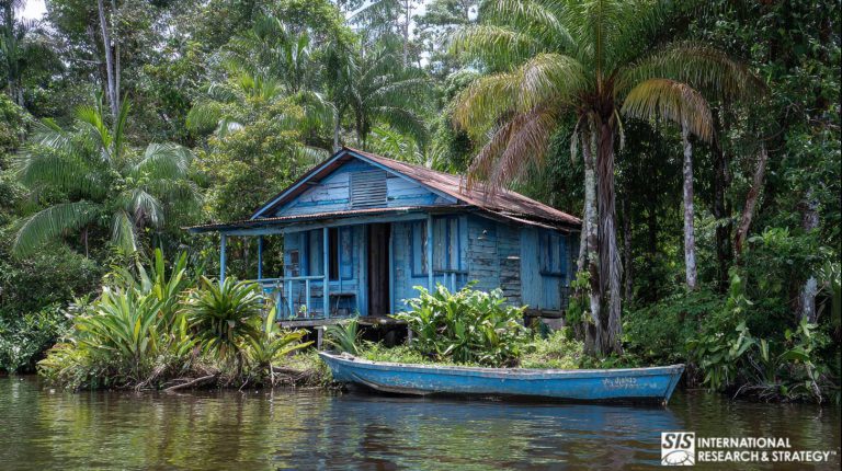 Investigación de mercado en la Guayana Francesa