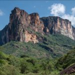 Investigación de mercado en Guyana